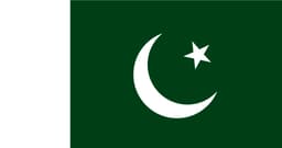Pakistan Flag logo